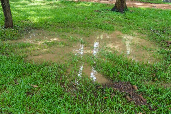 Cost of Storm Water Drainage Service in Summerville