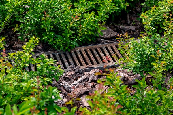 Cost of Underground Drainage Service in Summerville