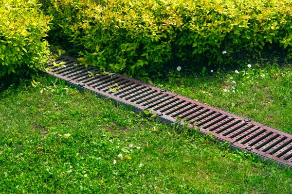 Cost of Lawn Drainage in Summerville