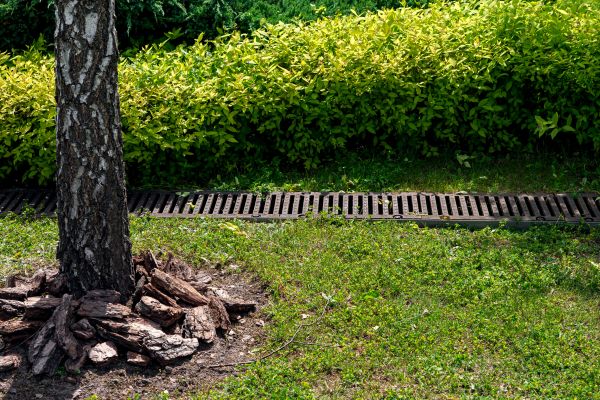Cost of Garden Drainage Installation in Summerville