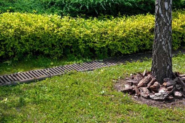 Cost of Residential Landscape Drainage in Summerville