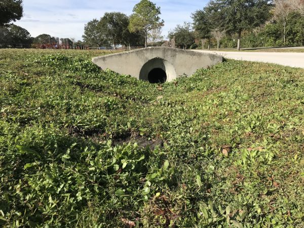 Cost of Swale Drainage Service in Summerville